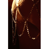 38458778_media_DSC05185 inet-q0CpNBUekxn0tW4SvwUWnvegf2LWN9gi.jpg